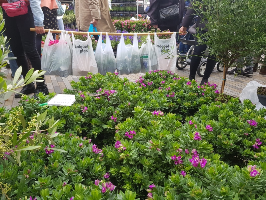 Groningen in Bloom: Experience the Spectacular Bloemenjaarmarkt 2025